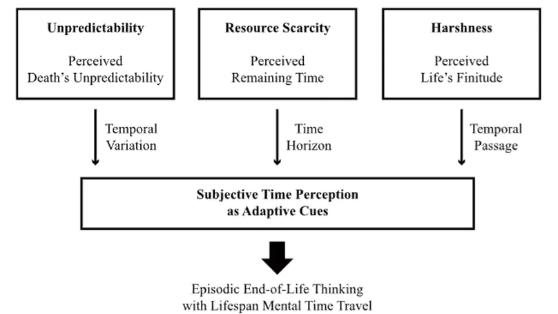 Adaptive Time Management A Life-History Framework Integrating Mental Time Travel, Mortality Awareness, and Anticipatory Decision-Making